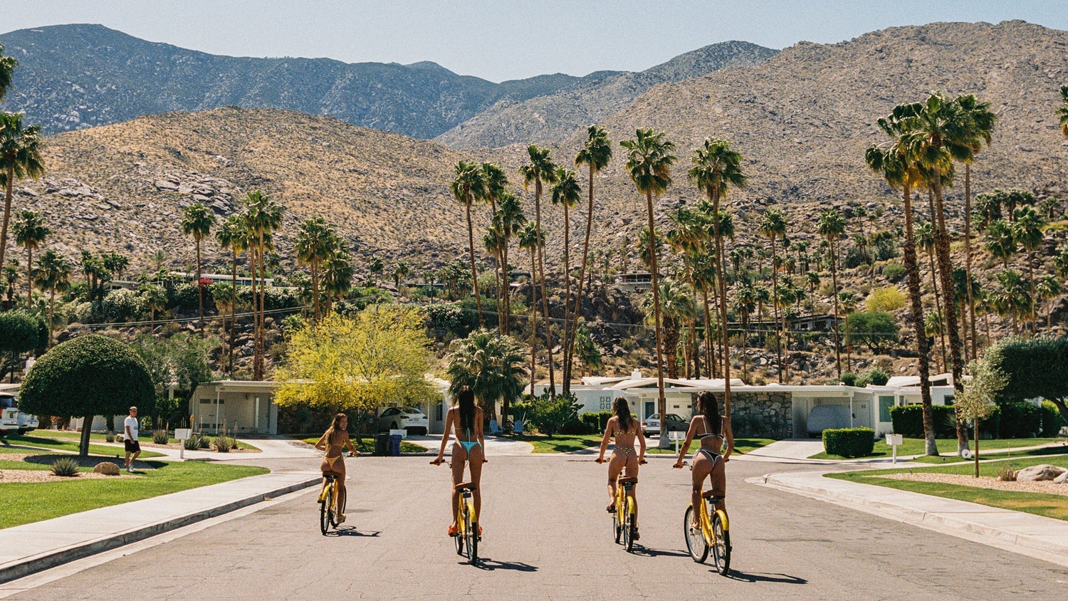 TWIN PALMS
